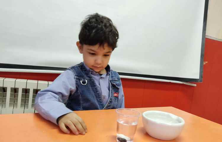 آزمایش زیرآب -روی آب درس علوم