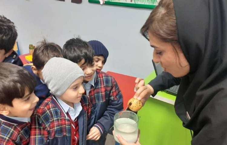 آزمایش سیب زمینی نمکی 1