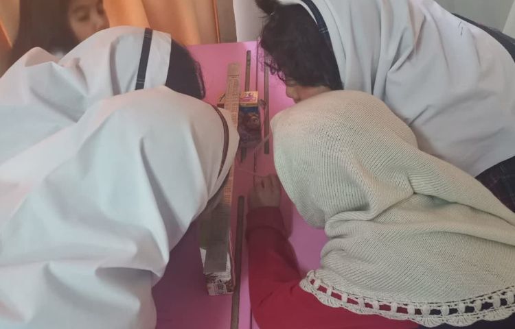 آزمایش سیرک واشری