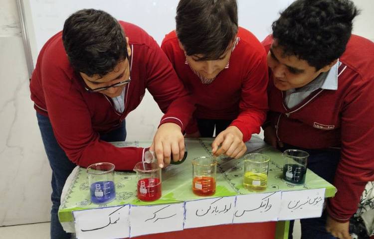 آزمایش شناسایی اسید و باز 2
