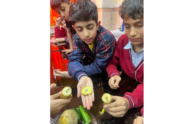 آزمایش شناسایی نشاسته با شناساگر (ید ) 3