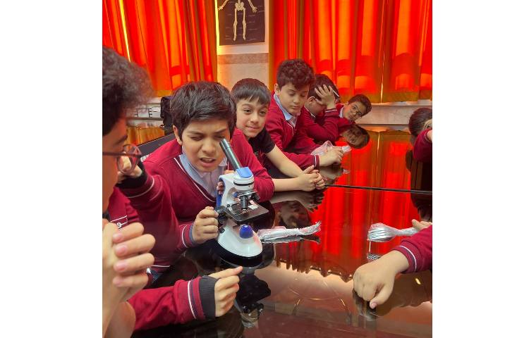 آزمایش شناسایی نشاسته با شناساگر (ید )