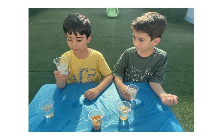 آزمایش علمی