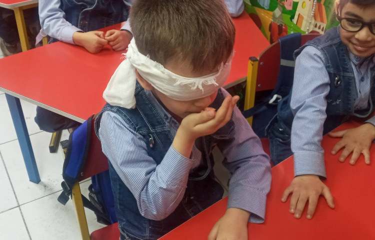 آزمایش علوم(حس بویایی) 2