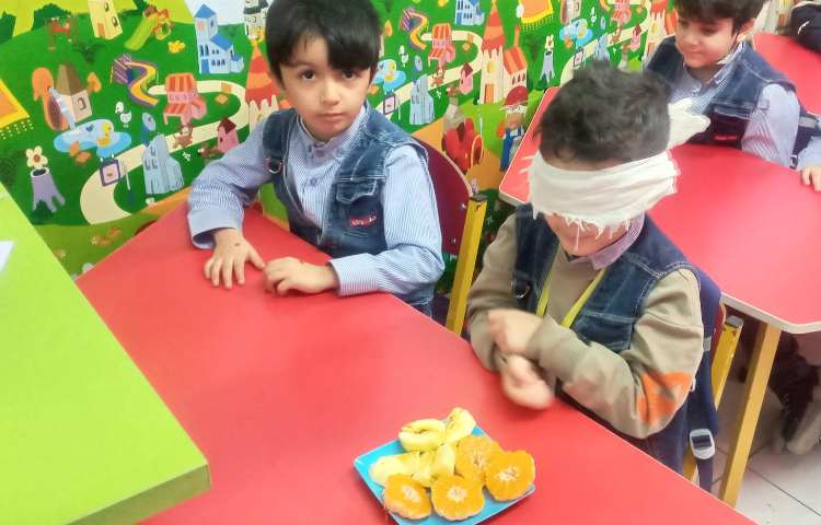 آزمایش علوم(حس بویایی)