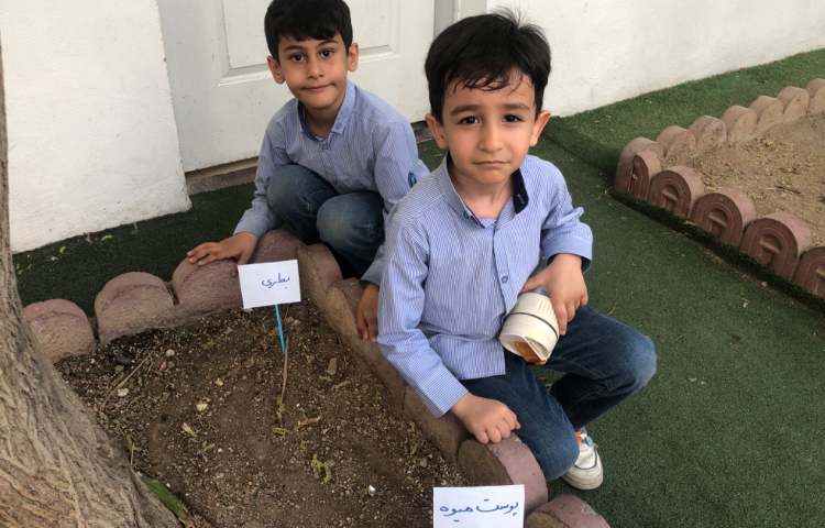 آزمایش علوم:خاک کردن بطری و پوست میوه 2