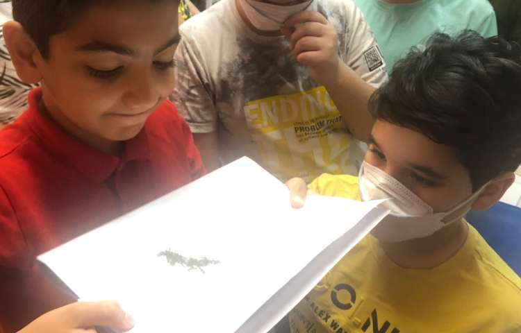 آزمایش علوم حالات ماده 1