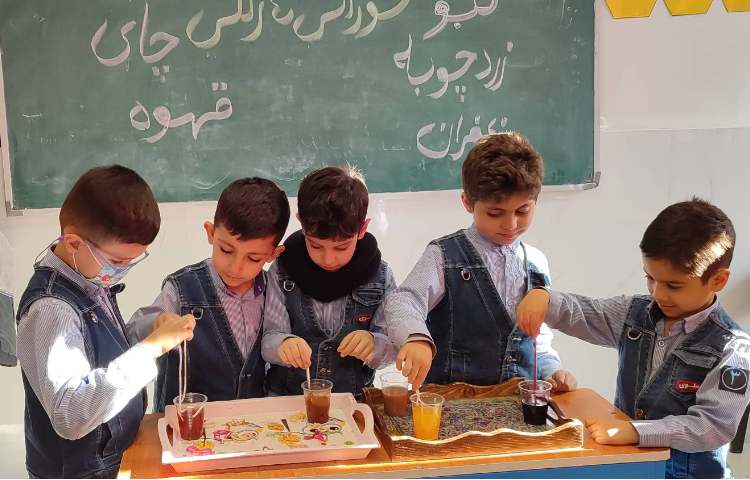 آزمایش علوم خوراکی های رنگی 1