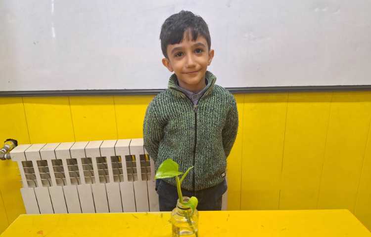 آزمایش علوم، قلمه زنی و کاشت دانه 1