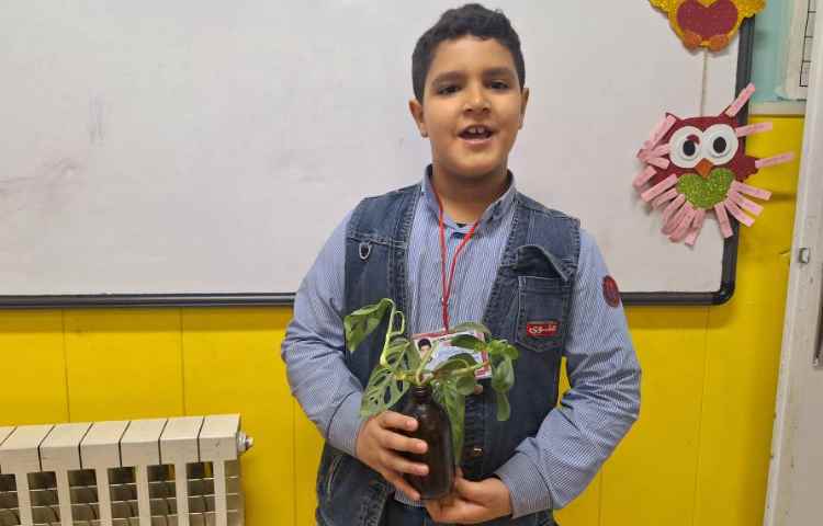 آزمایش علوم، قلمه زنی و کاشت دانه 3