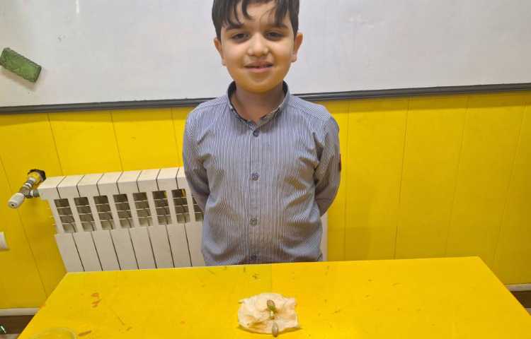 آزمایش علوم، قلمه زنی و کاشت دانه 4