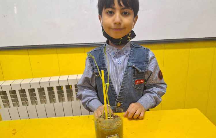 آزمایش علوم، قلمه زنی و کاشت دانه 5