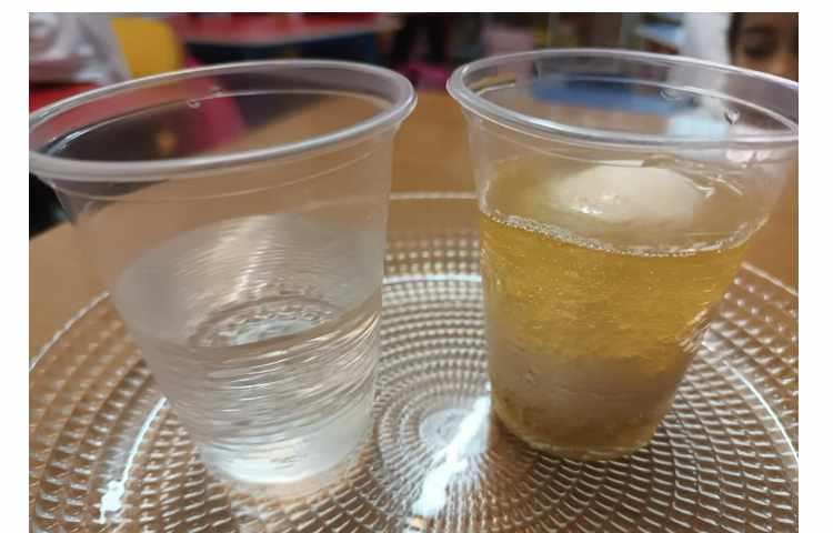 آزمایش علوم و فعالیت مناسبتی 1