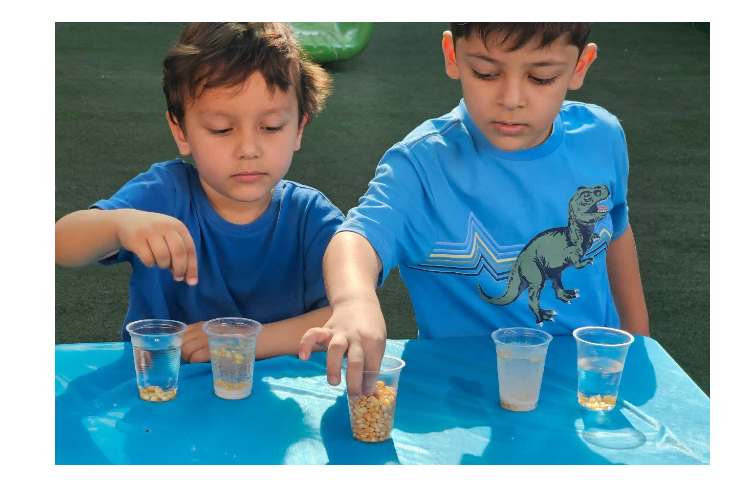 آزمایش علوم 1