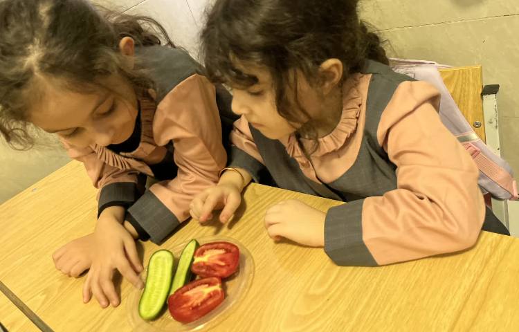 آزمایش علوم 2