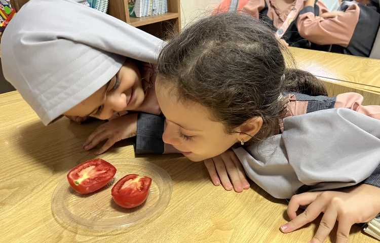 آزمایش علوم 5