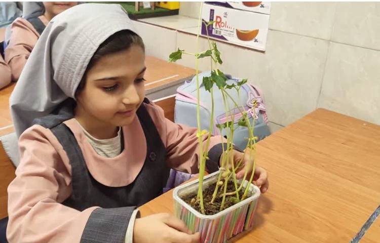 آزمایش علوم 6