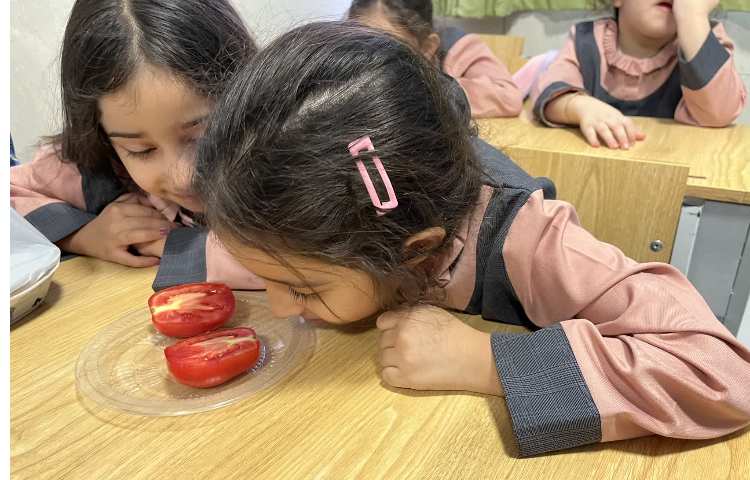 آزمایش علوم 7