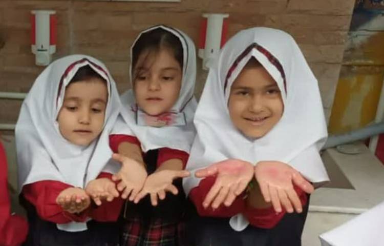 آزمایش علوم