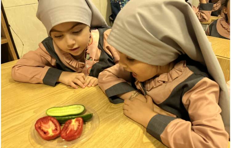 آزمایش علوم