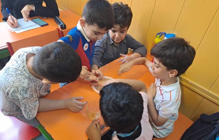 :آزمایش فلفلی درسِ دانشمند کوچک (علوم) 1