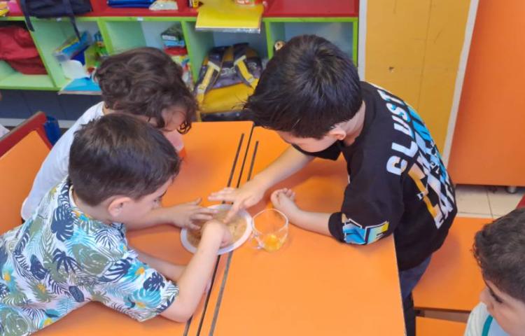 :آزمایش فلفلی درسِ دانشمند کوچک (علوم) 2