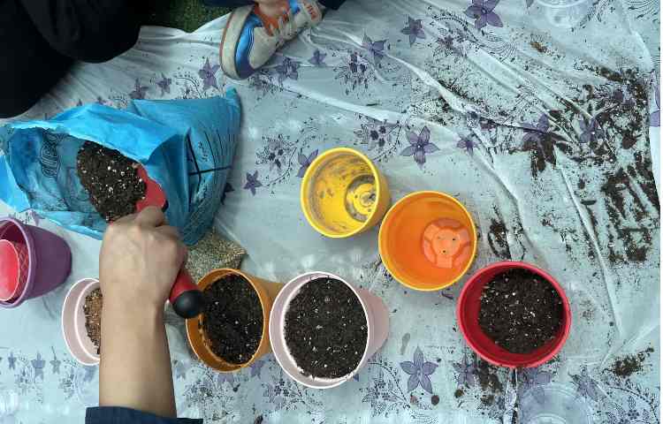 آزمایش و کاشت گیاه 1