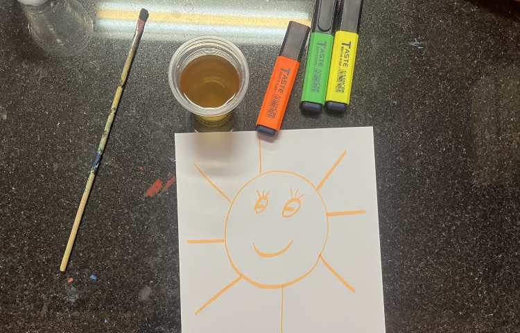 آزمایش و کاشت گیاه 3