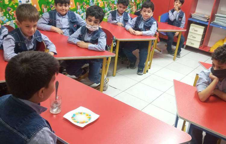 آزمایش (چالش رنگین کمان) به کمک اسمارتیز و آب رنگین کمان درست کردند 3