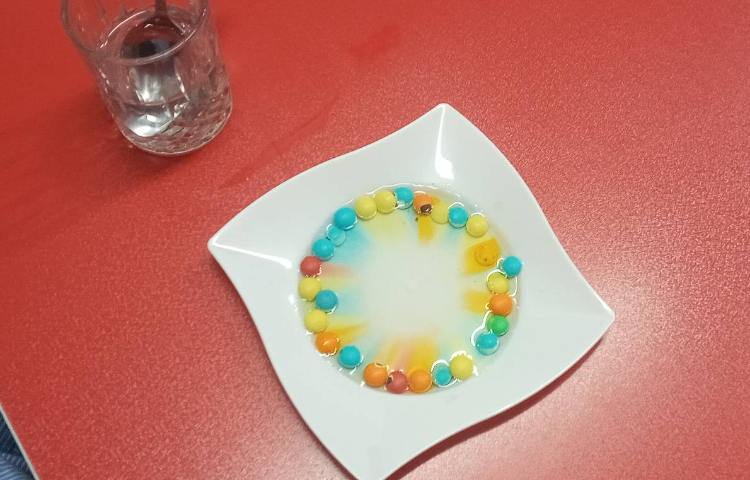 آزمایش (چالش رنگین کمان) به کمک اسمارتیز و آب رنگین کمان درست کردند 4