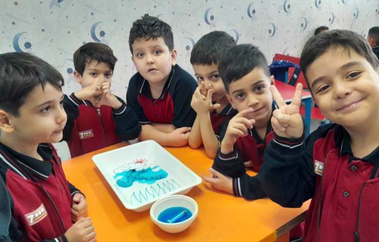 آزمایش کرم رنگی 2