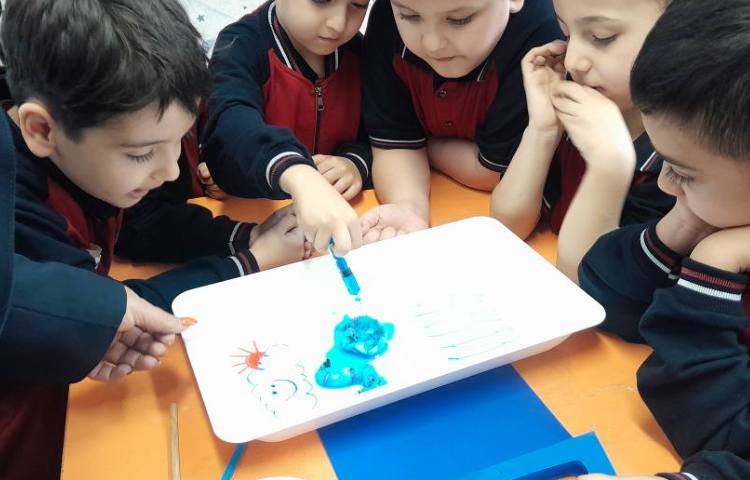 آزمایش کرم رنگی 4