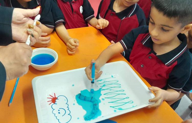 آزمایش کرم رنگی 5