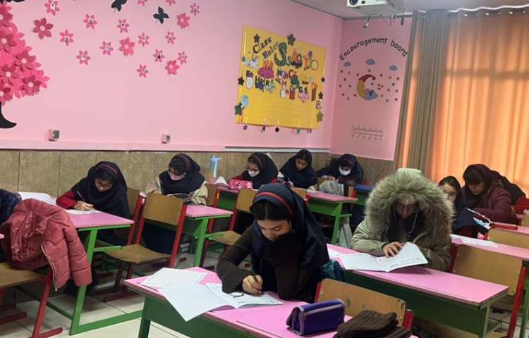 آزمون تیمز 2