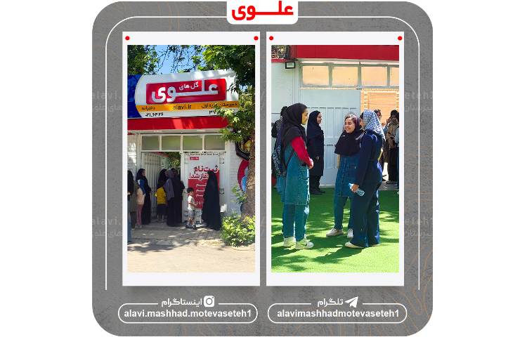 آزمون ورودی 13