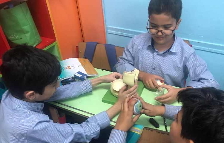 آشنایی با اجزای چشم و گوش درس علوم 4