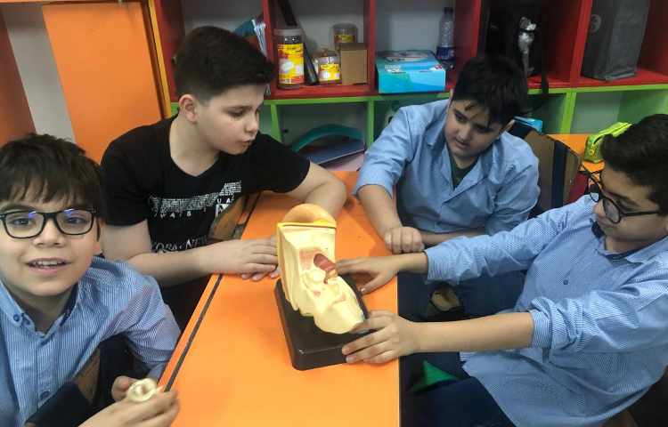 آشنایی با اجزای چشم و گوش درس علوم 5