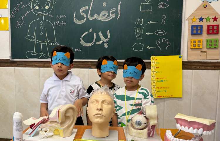 آشنایی با اعضای بدن و حواس پنجگانه و نمایش مولاژ اعضای بدن 1