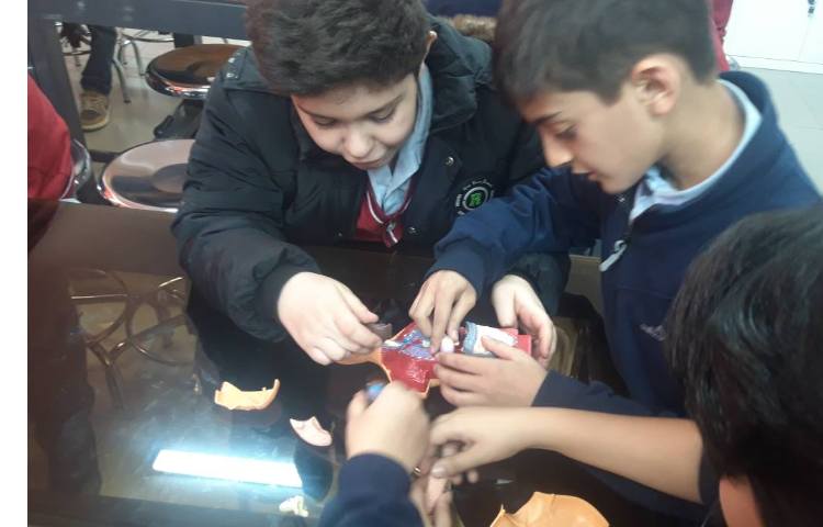 آشنایی با اندامهای داخلی بدن در آزمایشگاه همراه با بازی پازل اندام های داخلی 1