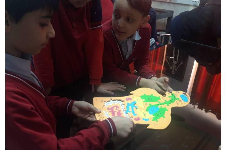 آشنایی با اندامهای داخلی بدن در آزمایشگاه همراه با بازی پازل اندام های داخلی 2