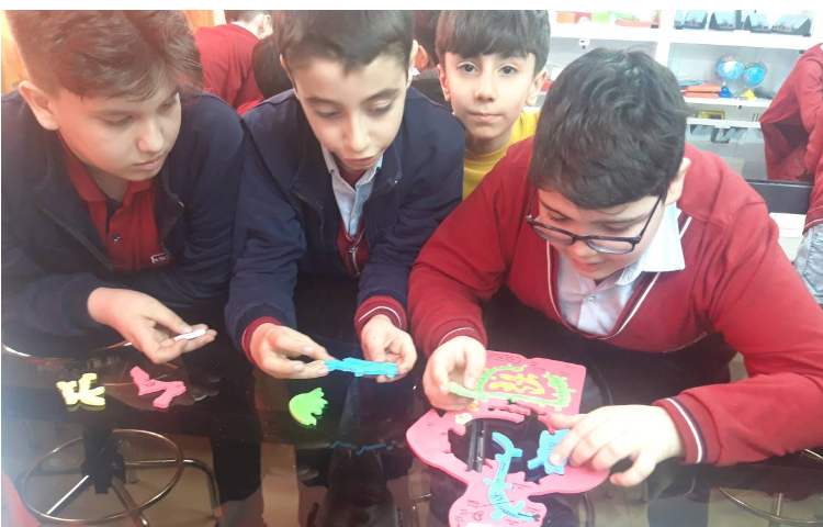 آشنایی با اندامهای داخلی بدن در آزمایشگاه همراه با بازی پازل اندام های داخلی 4