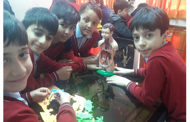 آشنایی با اندامهای داخلی بدن در آزمایشگاه همراه با بازی پازل اندام های داخلی