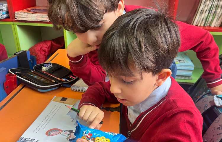 آشنایی با انواع بسته بندی 3