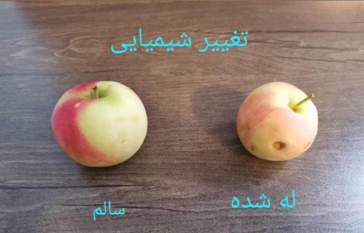 آشنایی با تغییرات فیزیکی و شیمیایی 2