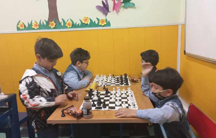 آشنایی با حرکت فیل و نام آن ها 1