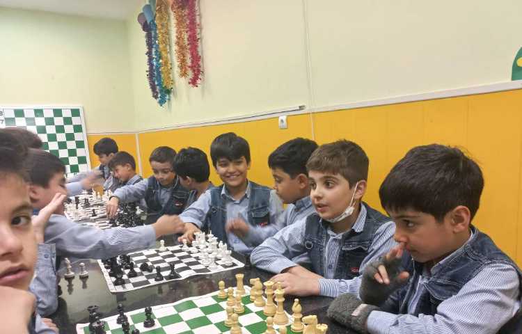 آشنایی با حرکت فیل و نام آن ها 21