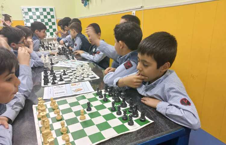 آشنایی با حرکت فیل و نام آن ها 26