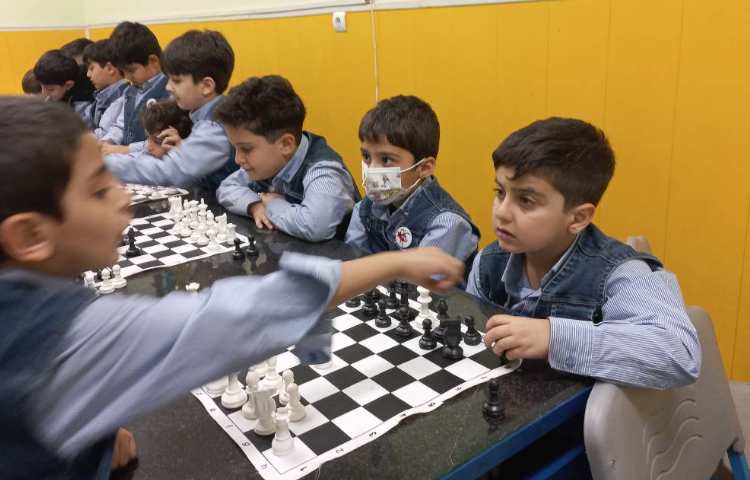 آشنایی با حرکت فیل و نام آن ها 3