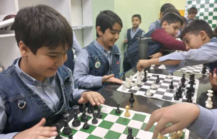 آشنایی با حرکت فیل و نام آن ها 30