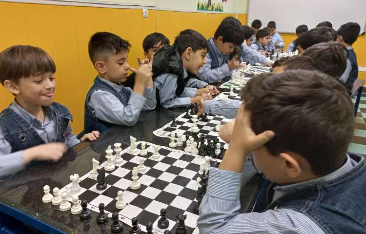 آشنایی با حرکت فیل و نام آن ها 5